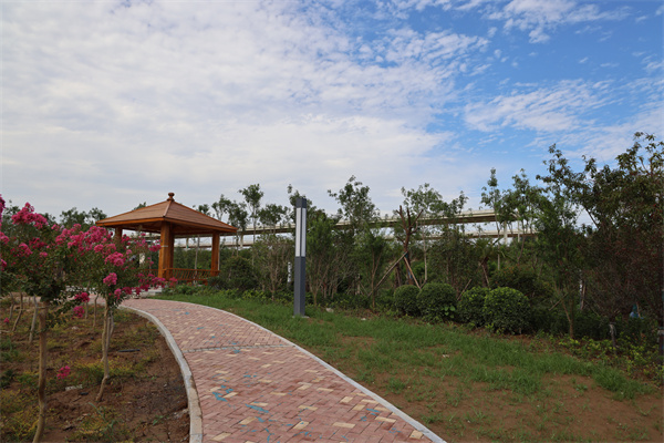 885A3613.jpg