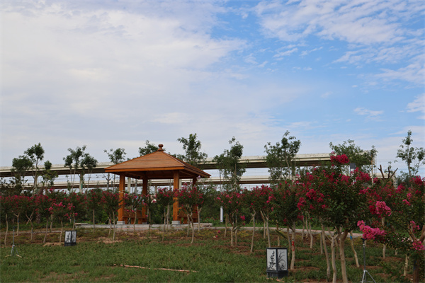 885A3610.jpg